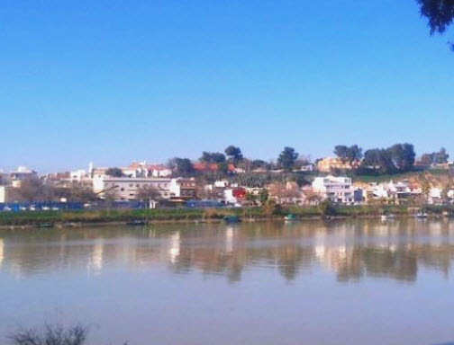 tasación Coria del Río