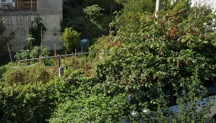 tasación terreno urbano Ourense